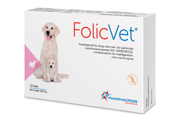canine folic acid dosage
